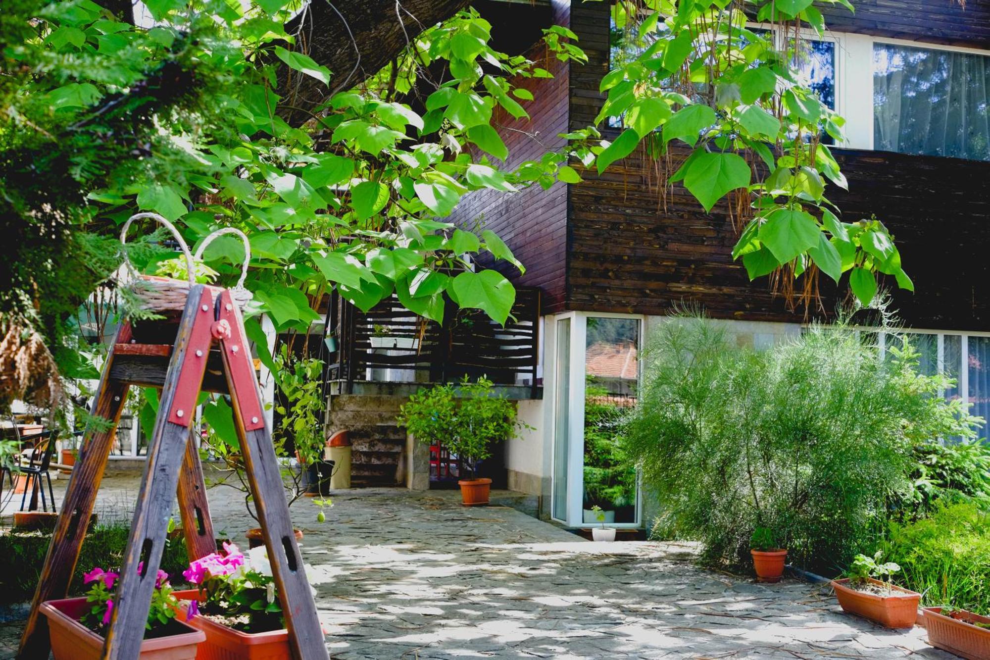 Villa "Forest Way" Pirdop Exterior foto
